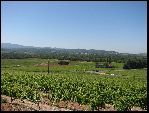 Photo albulle/data/photos/Leon_Day_VII/LD-VII_03.jpg