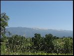 Photo albulle/data/photos/Leon_Day_VII/LD-VII_05.jpg