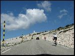 Photo albulle/data/photos/Leon_Day_VII/LD-VII_10.jpg